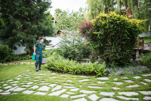Professional Pest Control in Scandia, MN